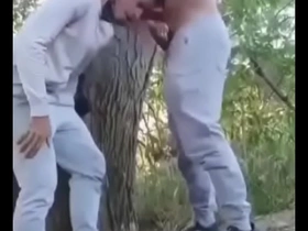 Safados fudendo no mato